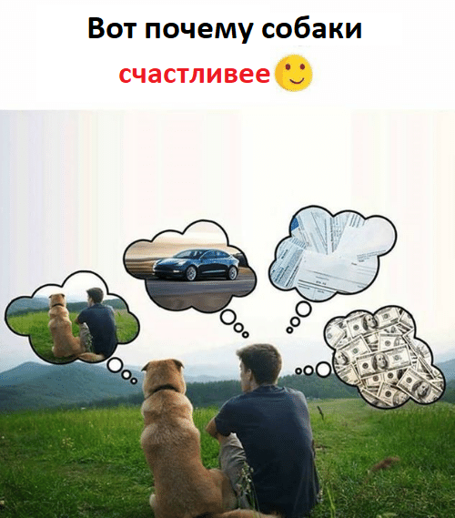 Вот почему собаки счастливее: они в «здесь и сейчас» Вот почему собаки счастливее: они в «здесь и сейчас»